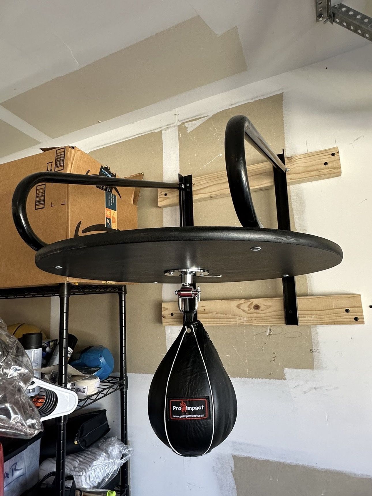 Speed Bag w Pro swivel & Gloves