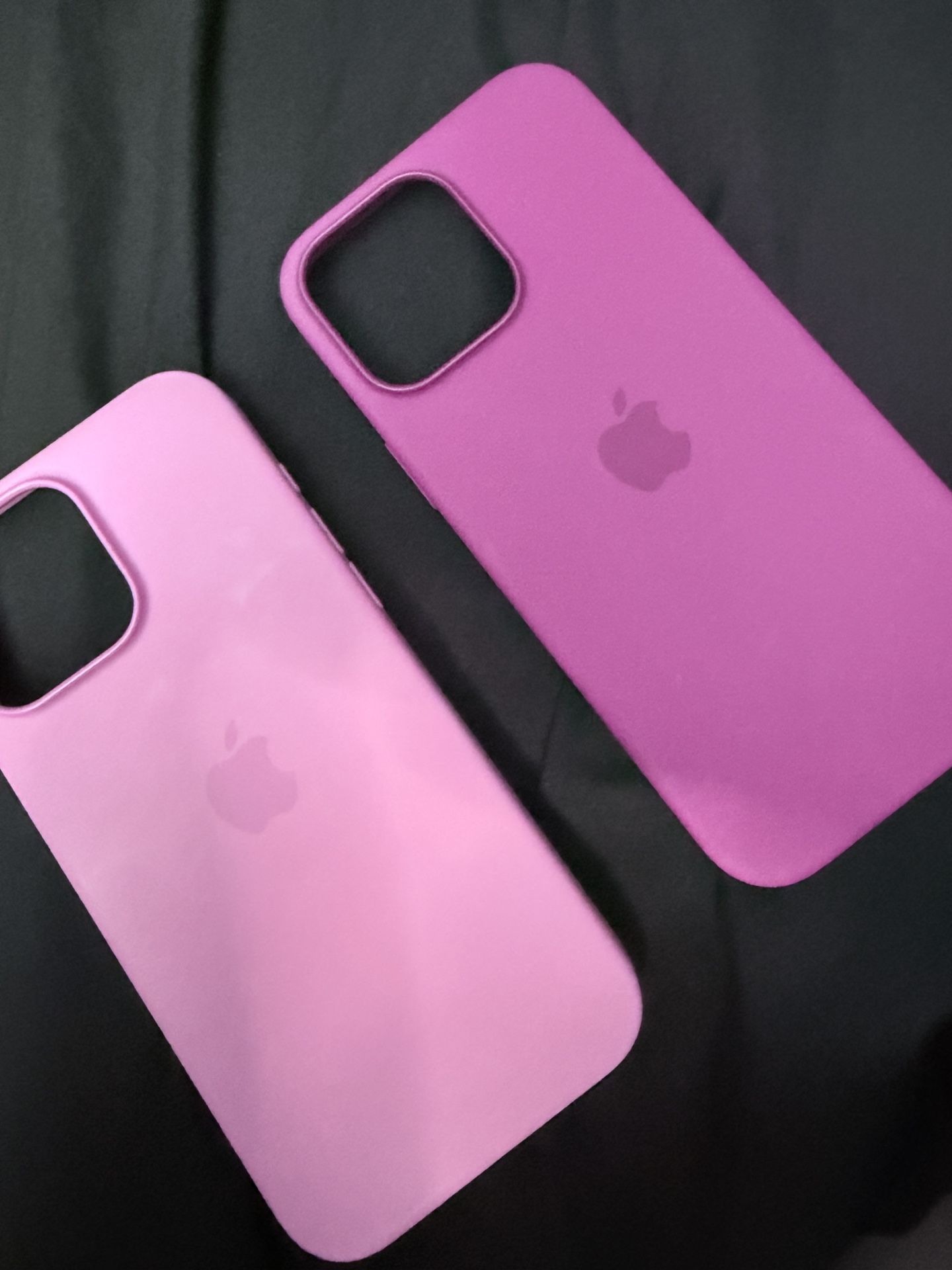 Two Apple iPhone 16 Pro Max Cases