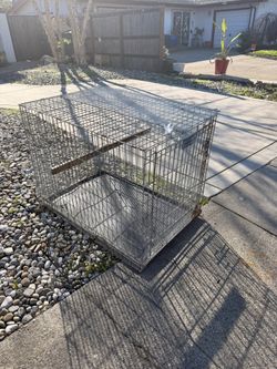 Dog Cage