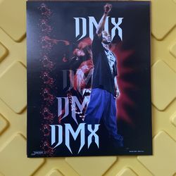 DMX Photo 8x10
