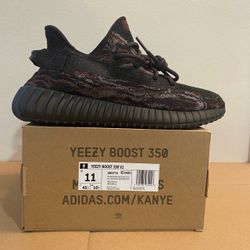 Size 11 Yeezy