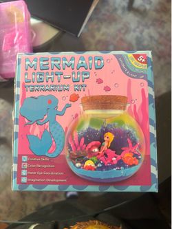 Girl toys/crafts