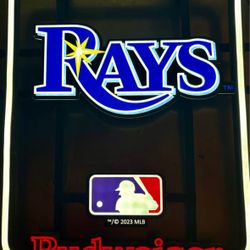 Rays Neon Budweiser sign