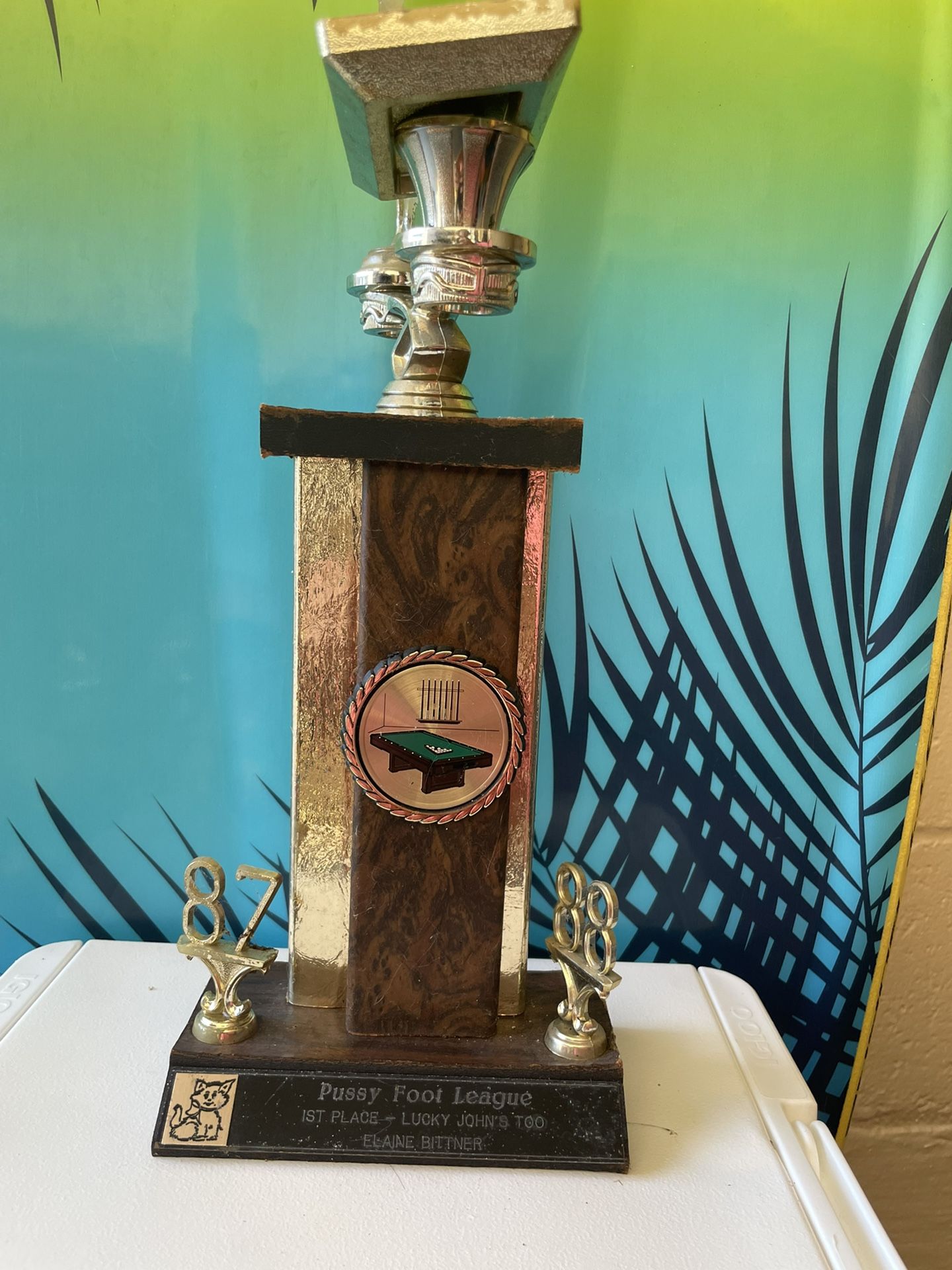 Pool Trophy