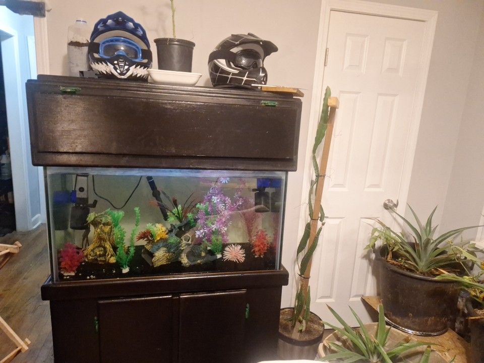 55 Gallon Aquarium