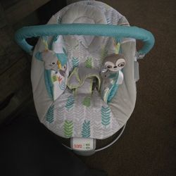 Baby Bouncer