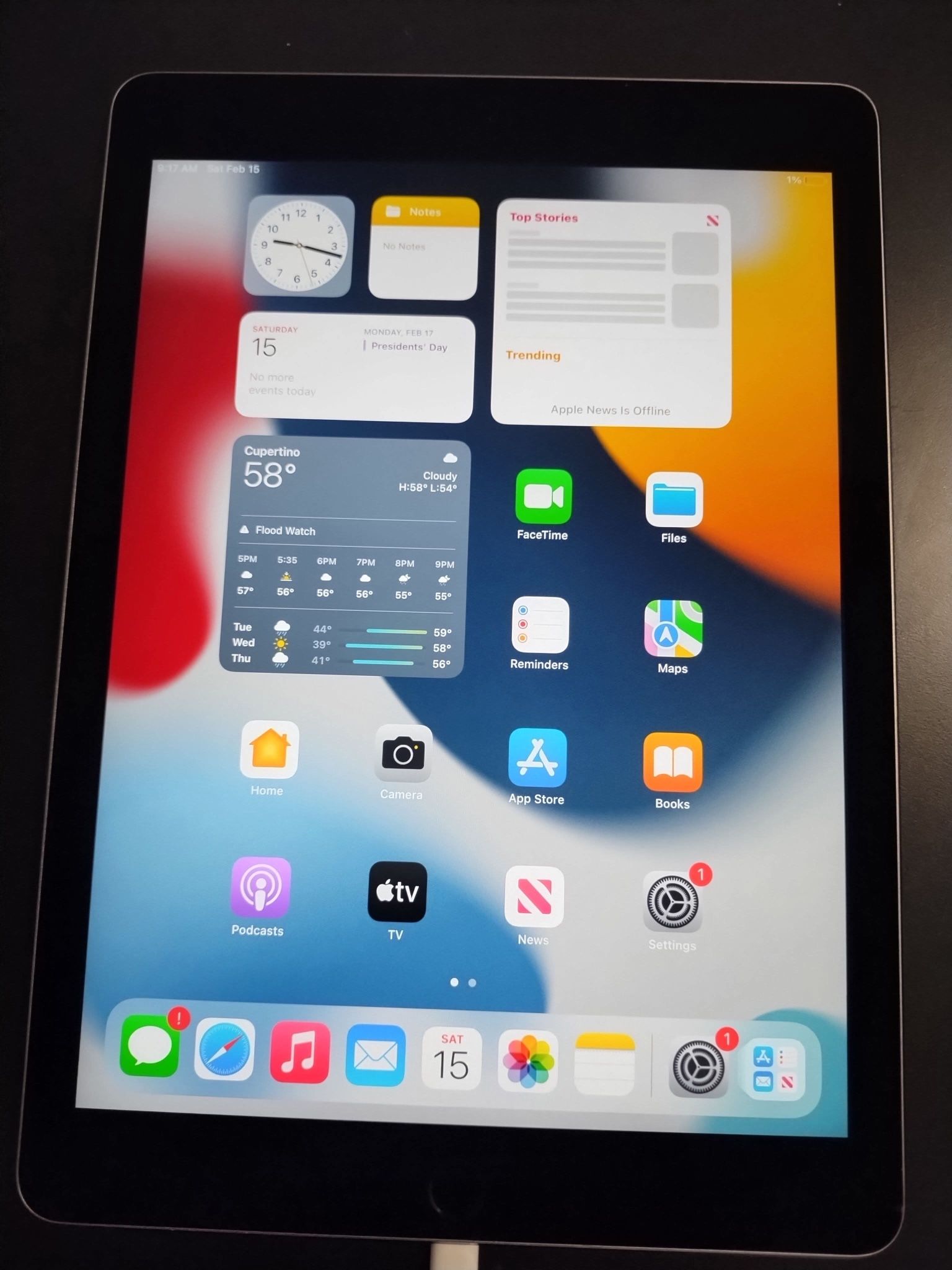 iPad Air 2 (2nd Generation) 9.7 Inch Wi-Fi (16Gb) + cable ( One iPad )