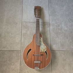 Vintage Hofner Model 545 Cats Eye Mandolin Slotted Headstock Made In Germany 60s