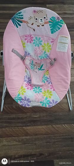 Baby bouncer