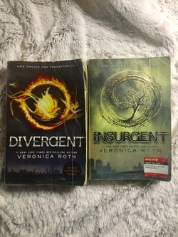 The Divergent Series