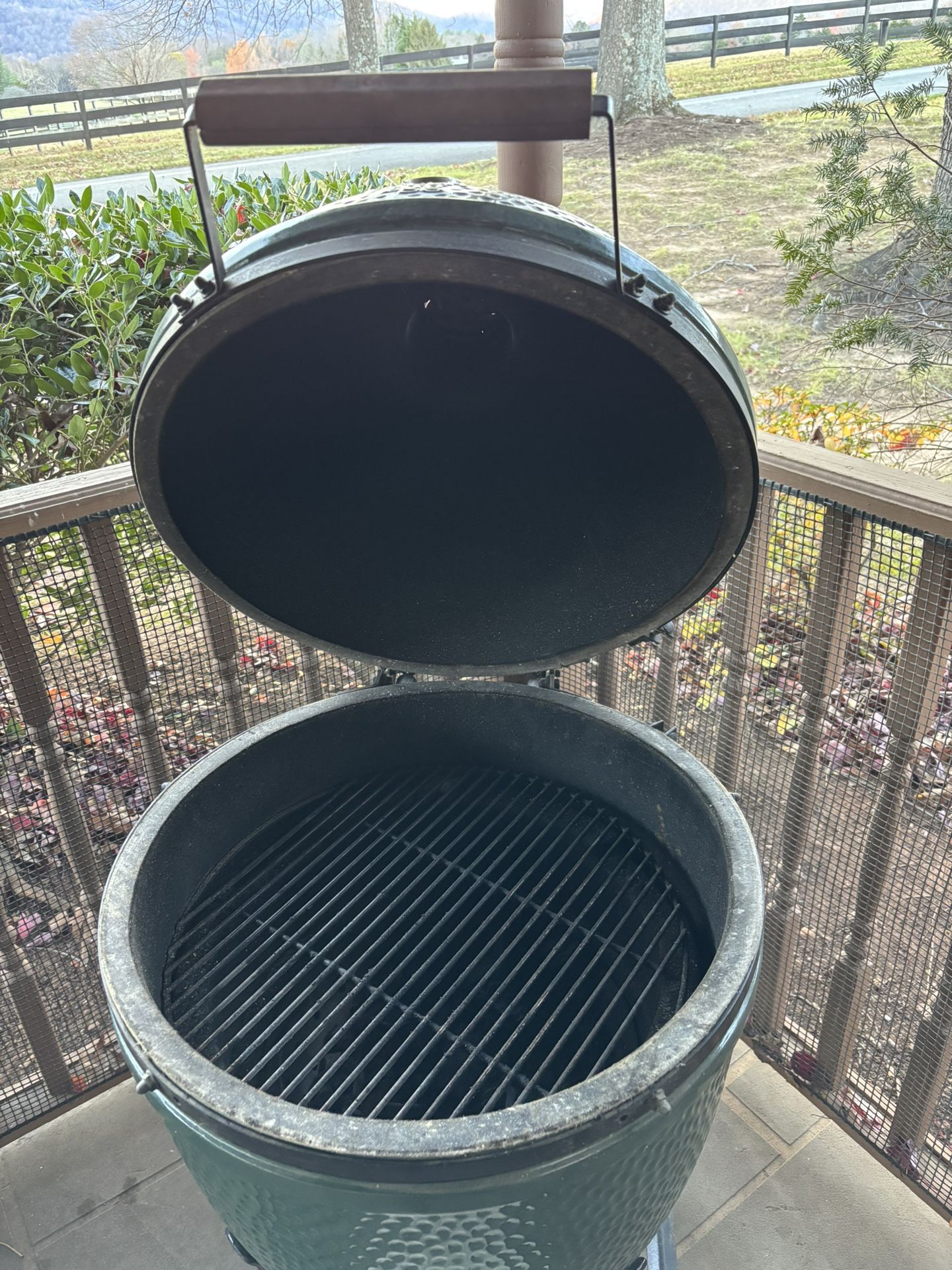 Large Kamado Grill Classic Green Egg