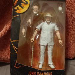 John Hammond 