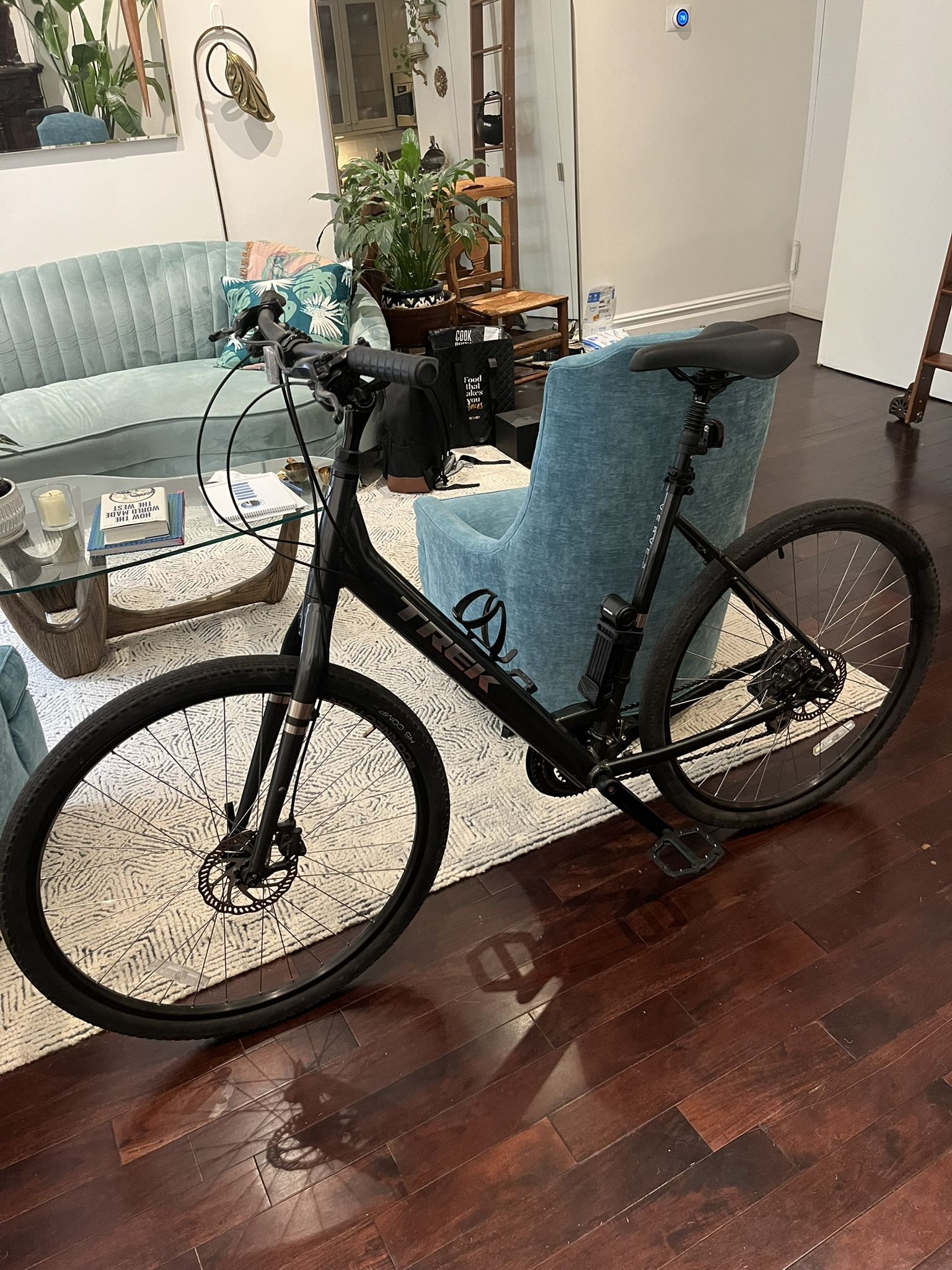 Trek Lowstep Verve II Bike