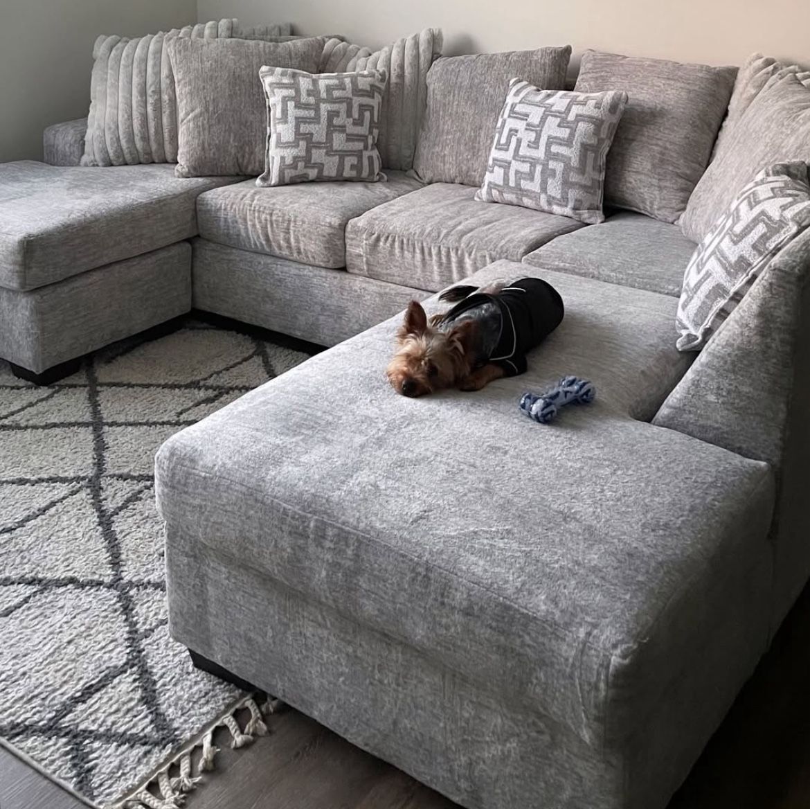 Full Size Couch
