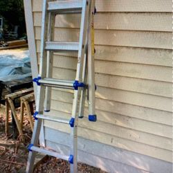 Multiposition Ladder