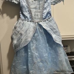 Disney Cinderfella Dress 