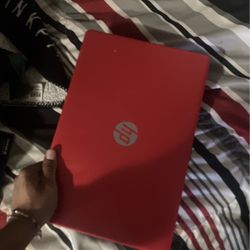 HP Laptop