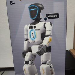 Toy Robot