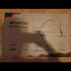 Sanguine 22' HD monitor