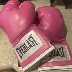 Everlast Boxing Gloves Excellent Condition 