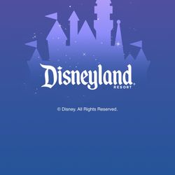 Selling One Disney Ticket 