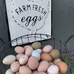 Organic Fresh Chicken Eggs 