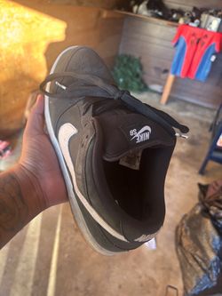 Nike sb 10.5