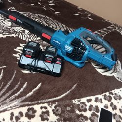 Battery  Leaf Blower  Very Powerful . Almost New Hardly Used It Asking $80.