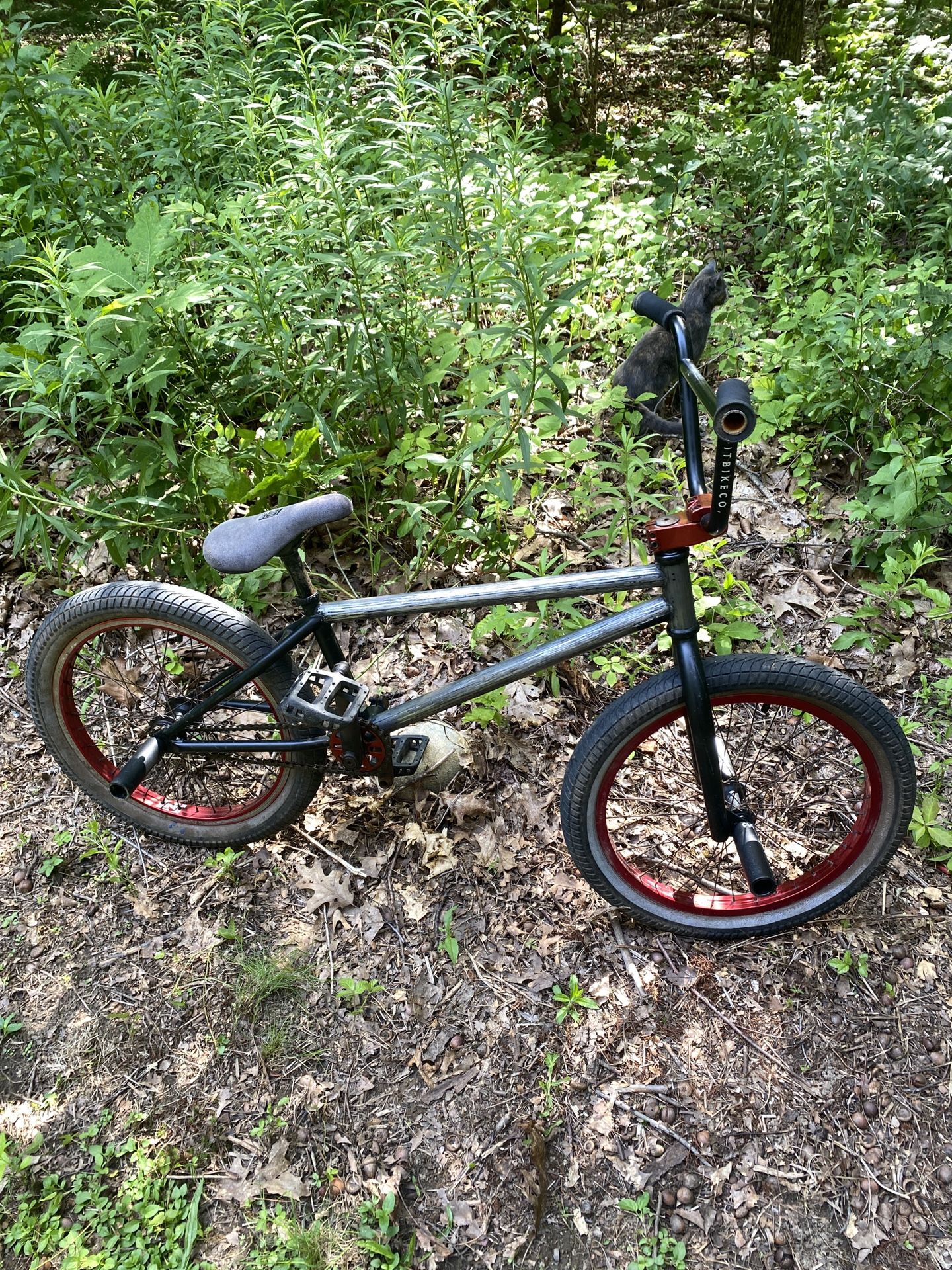 Fit Bmx Bike