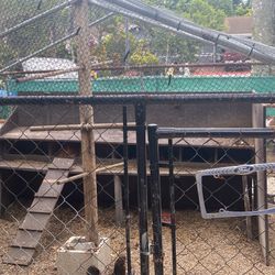 Chicken Coop