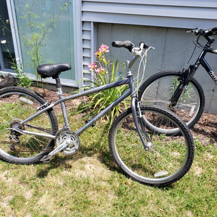 Ladies Bicycle By Giant