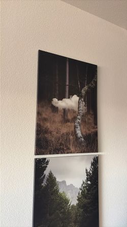 Picture Canvas Wall Art Forrest Theme
