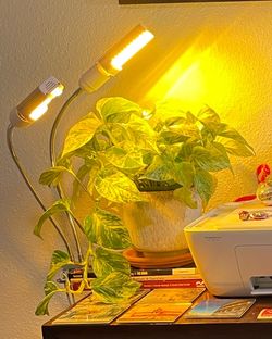 Plant Grow Lights (2 sets)