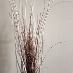 7.7 Ft White Brown Natural Decorative Dry Branches Authentic Willow Birch Sticks for Home Decoration, Wedding Craft, and Floor Vase

