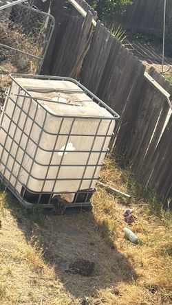 Container