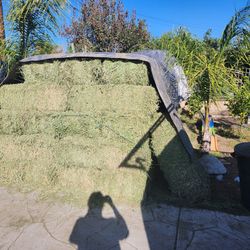Hay Animal Feed