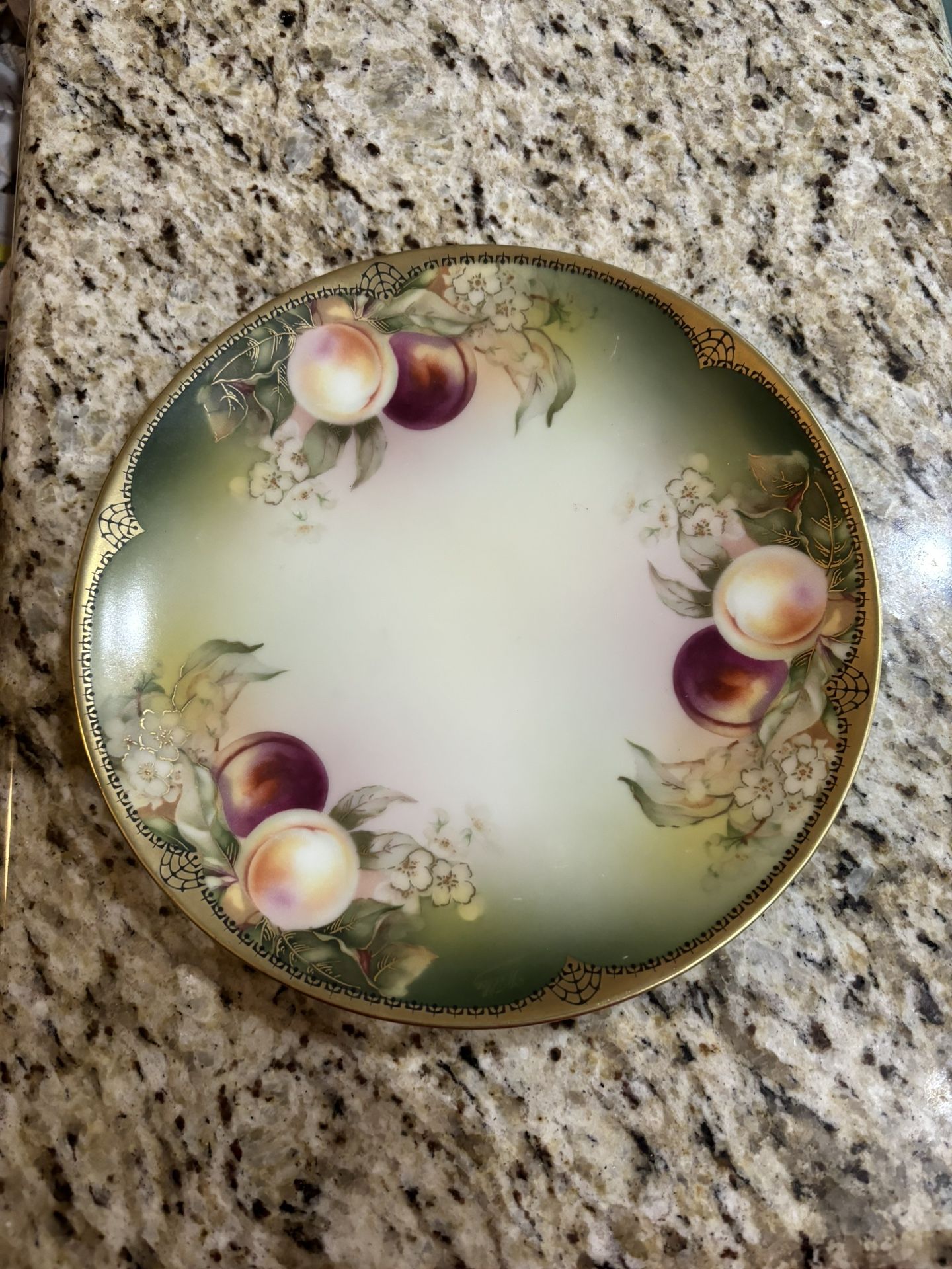 Beautiful Vintage Thomas Sevres Bavaria hand painted plate