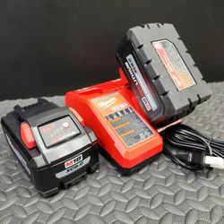 Milwaukee M18/M12 Charger Kit with Two 8.0 Batteries - $300