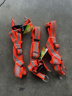 Dog Harness