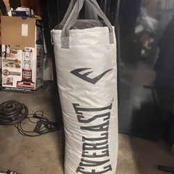 Everlast Punching Bag