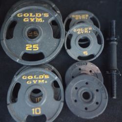 Gold's Gym Metal Weights