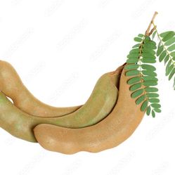 Giant Sour Tamarind Seeds