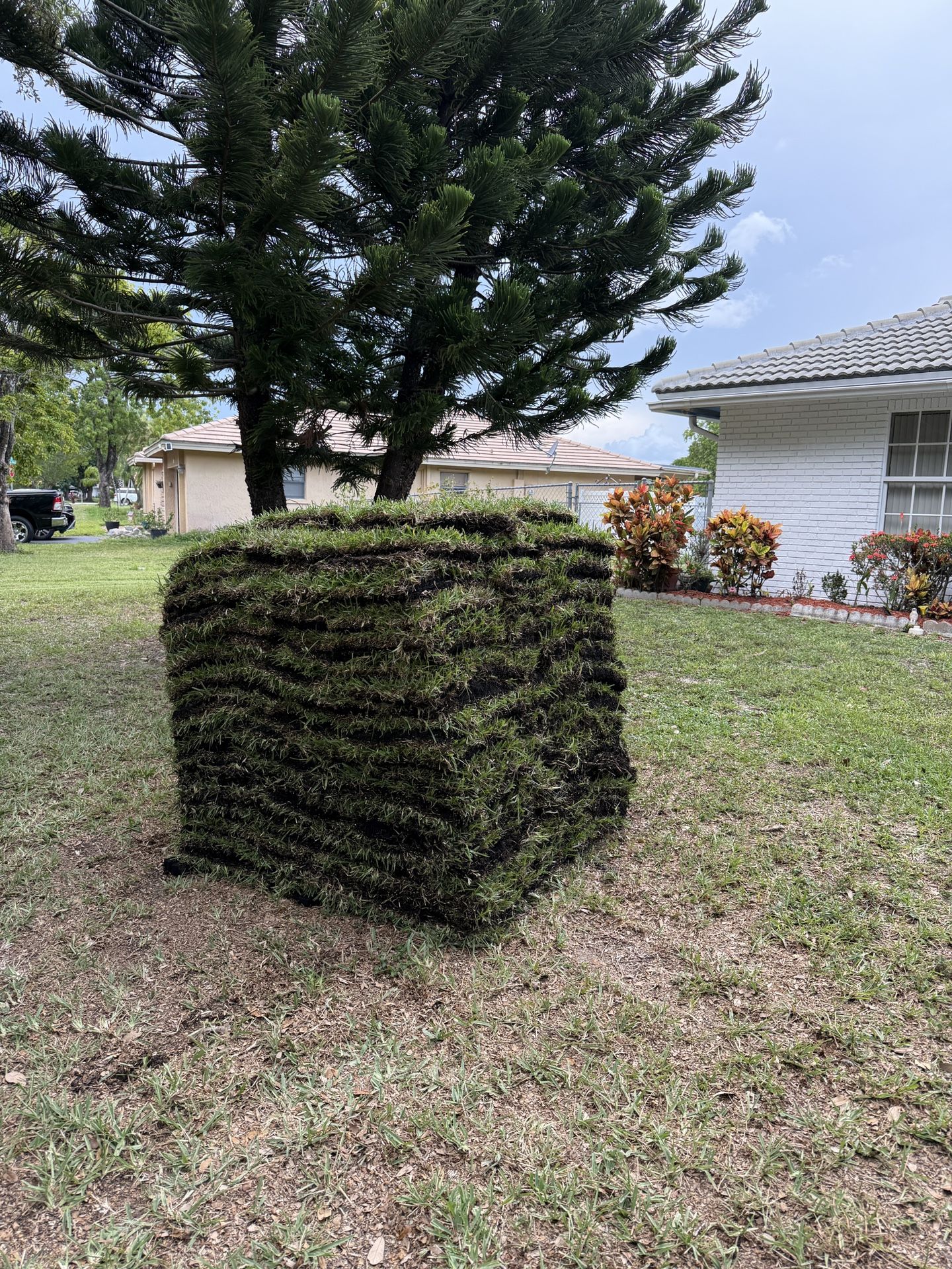 Pallets Of Sod Delivered