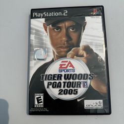 Tiger Woods PGA Tour 2005 (Sony PlayStation 2, 2004)