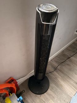 Fan