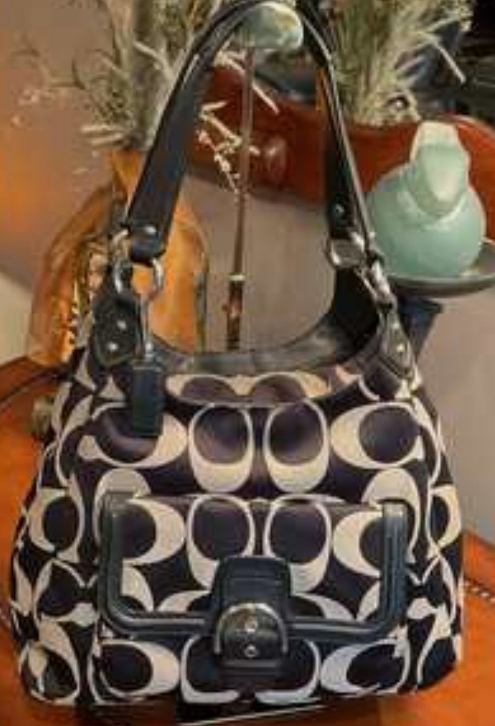 Coach Campbell Signature Canvas Hobo Bag and Wallet