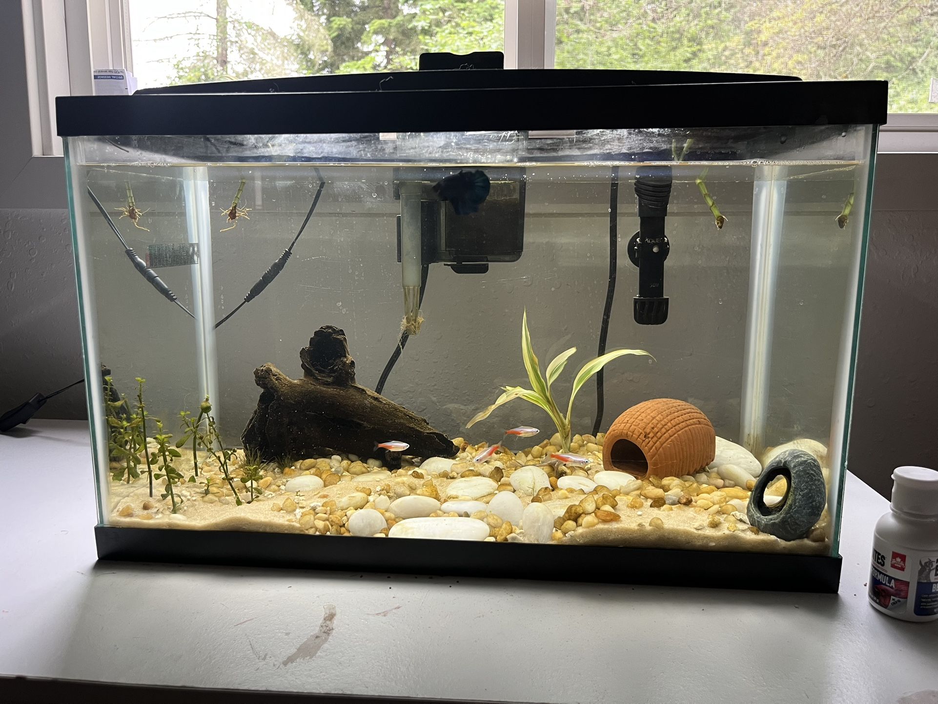 20 Gallon Fish Tank