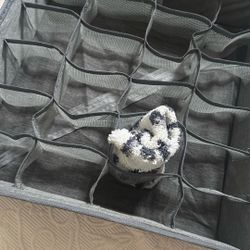 Sock/Underwear Organizer 2/$5