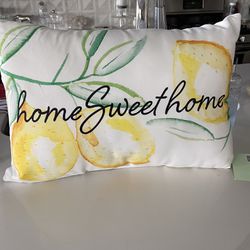 NEW TAG $29.99 In/Outdoor Embroidered Pillow 20x14”