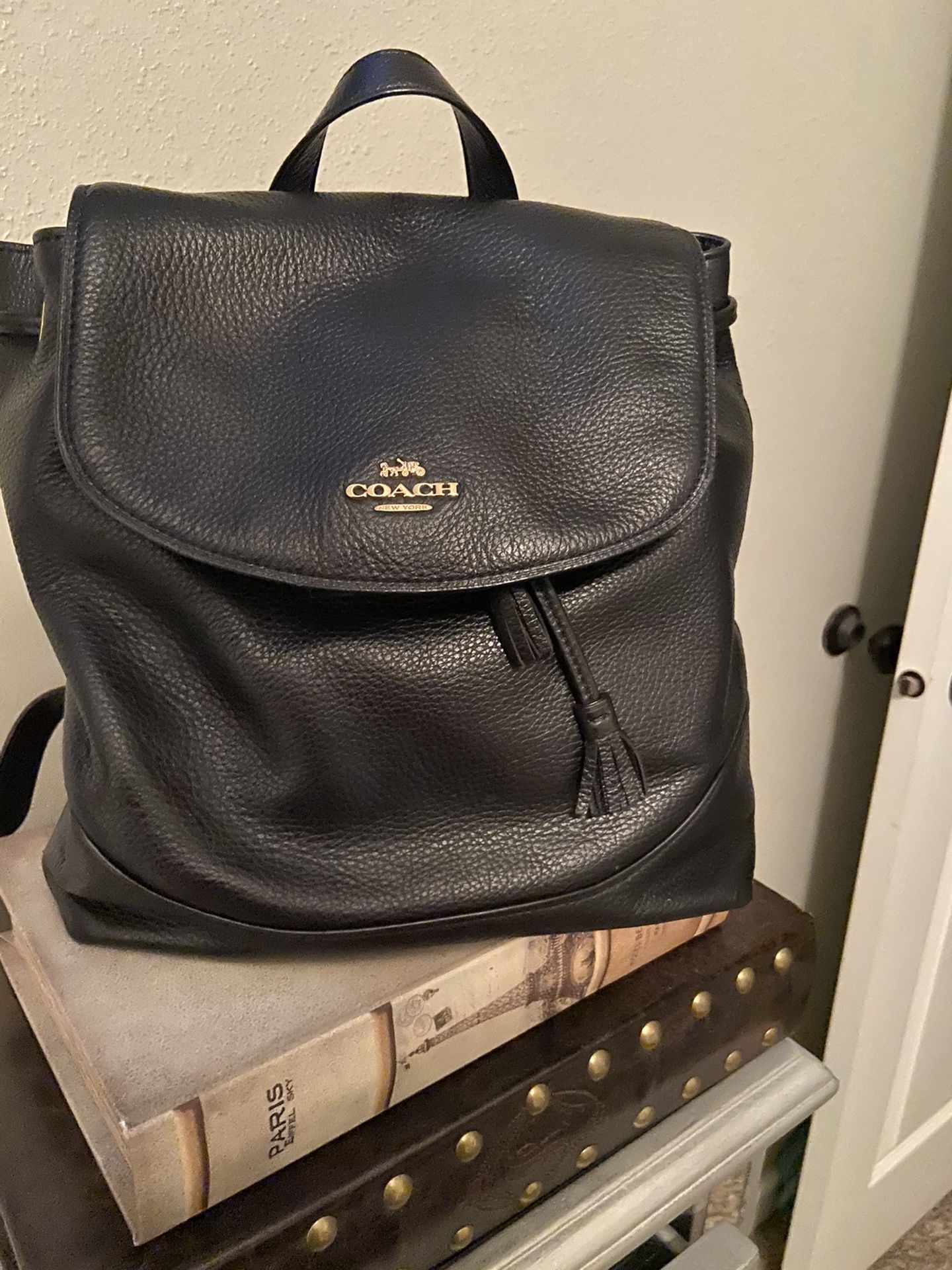 Coach Elle Leather Backpack In Black